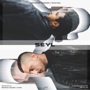 Seyl Cover | کاور موزیک Seyl