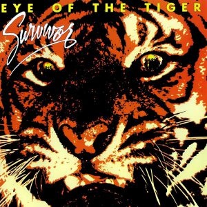 Tiger Eye Cover | کاور موزیک Tiger Eye