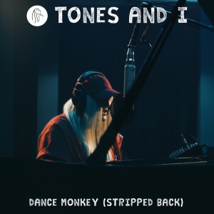 Dance Monkey Cover | کاور موزیک Dance Monkey